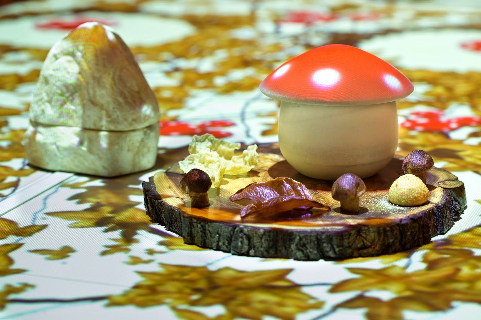 Plato Sublimotion